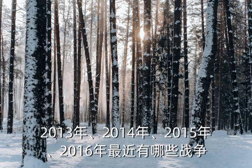 2013年、2014年、2015年、2016年最近有哪些戰(zhàn)爭