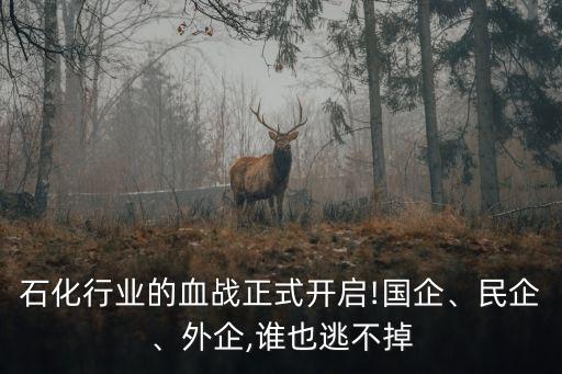 石化行業(yè)的血戰(zhàn)正式開(kāi)啟!國(guó)企、民企、外企,誰(shuí)也逃不掉