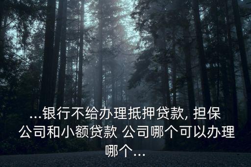 ...銀行不給辦理抵押貸款, 擔(dān)保 公司和小額貸款 公司哪個(gè)可以辦理哪個(gè)...