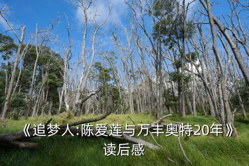 《追夢(mèng)人:陳愛蓮與萬豐奧特20年》讀后感
