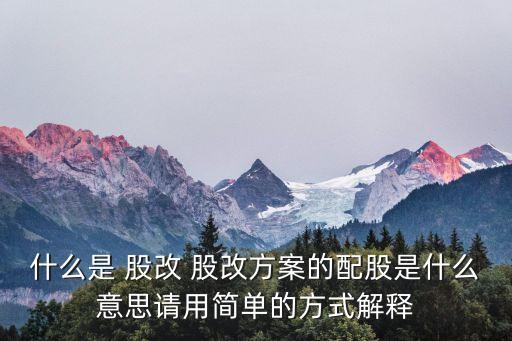 什么是 股改 股改方案的配股是什么意思請(qǐng)用簡單的方式解釋