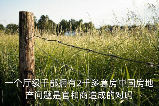 一個(gè)廳級(jí)干部擁有2千多套房中國(guó)房地產(chǎn)問題是官和商造成的對(duì)嗎