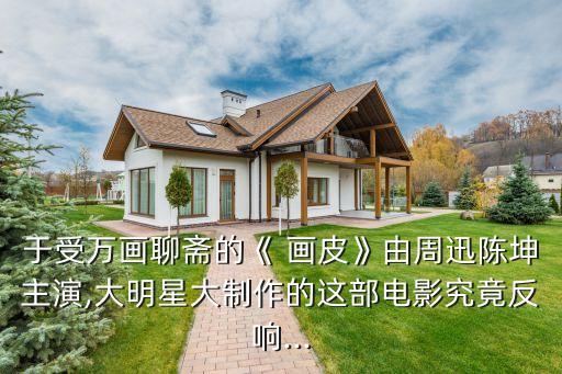 畫(huà)皮投資人,畫(huà)皮1投資