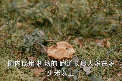 國內(nèi)民用 機(jī)場(chǎng)的 跑道長度大多在多少米以上