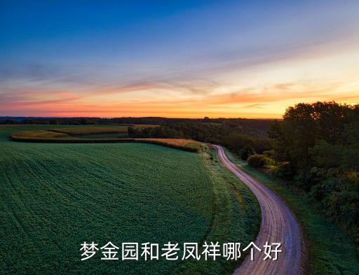  夢金園和老鳳祥哪個(gè)好