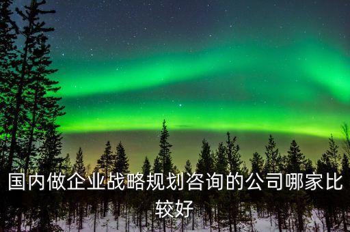 國(guó)內(nèi)做企業(yè)戰(zhàn)略規(guī)劃咨詢(xún)的公司哪家比較好