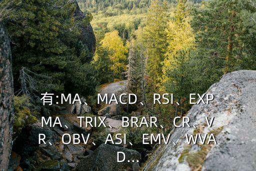 有:MA、MACD、RSI、EXPMA、TRIX、BRAR、CR、VR、OBV、ASI、EMV、WVAD...