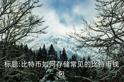 標(biāo)題:比特幣如何存儲(chǔ)常見(jiàn)的比特幣錢(qián)包