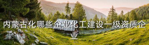 內蒙古化哪些企業(yè)化工建設一級資質企業(yè)