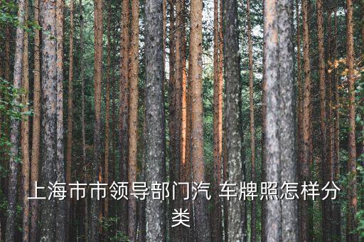 上海市市領(lǐng)導部門汽 車牌照怎樣分類