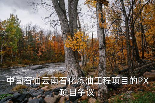 中國石油云南石化煉油工程項(xiàng)目的PX項(xiàng)目爭(zhēng)議