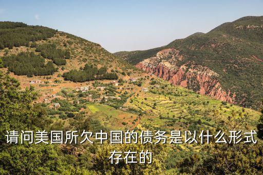 請問美國所欠中國的債務是以什么形式存在的