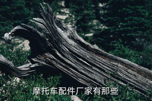 摩托車(chē)配件廠(chǎng)家有那些
