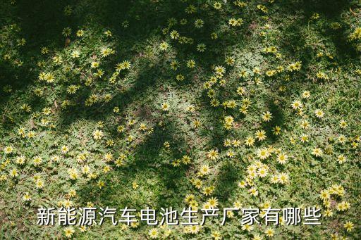 新能源汽車(chē)電池生產(chǎn)廠家有哪些