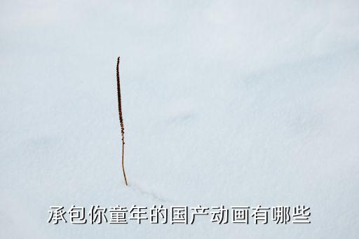承包你童年的國(guó)產(chǎn)動(dòng)畫(huà)有哪些