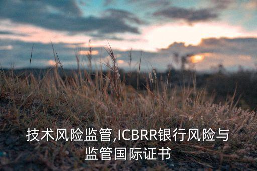 銀行技術(shù)風(fēng)險(xiǎn)監(jiān)管,ICBRR銀行風(fēng)險(xiǎn)與監(jiān)管?chē)?guó)際證書(shū)