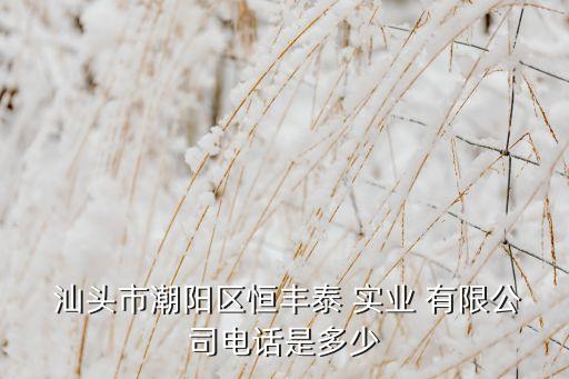 汕頭市潮陽(yáng)區(qū)恒豐泰 實(shí)業(yè) 有限公司電話(huà)是多少