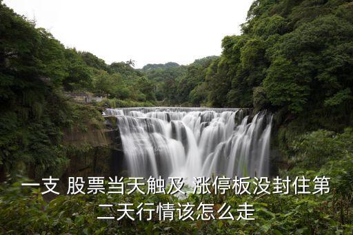 一支 股票當(dāng)天觸及 漲停板沒(méi)封住第二天行情該怎么走