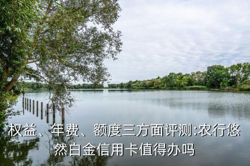 權(quán)益、年費、額度三方面評測:農(nóng)行悠然白金信用卡值得辦嗎