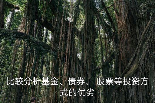比較分析基金、債券、 股票等投資方式的優(yōu)劣