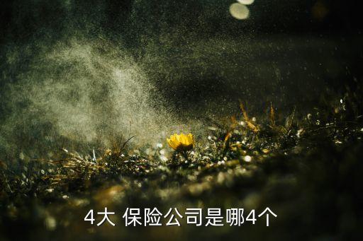 4大 保險(xiǎn)公司是哪4個(gè)