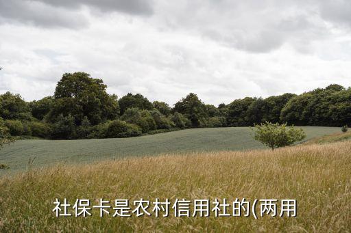 社?？ㄊ寝r(nóng)村信用社的(兩用