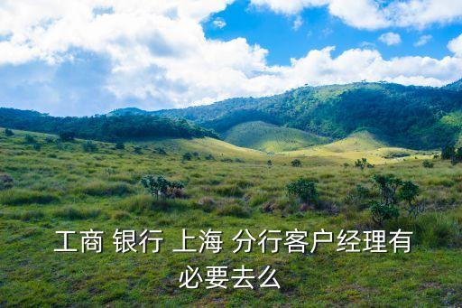  工商 銀行 上海 分行客戶經理有必要去么