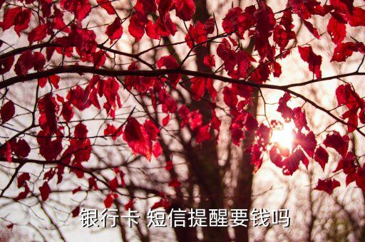  銀行卡 短信提醒要錢(qián)嗎