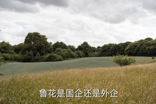 魯花集團股權結構,山東魯花集團有限公司股權結構