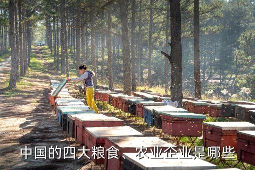中國的四大糧食、農(nóng)業(yè)企業(yè)是哪些