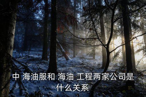 中 海油服和 海油 工程兩家公司是什么關系