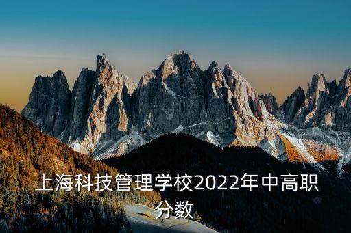  上?？萍脊芾韺W(xué)校2022年中高職分數(shù)