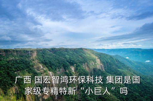 廣西國宏經濟發(fā)展集團有限責任公司