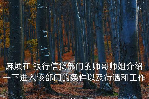 麻煩在 銀行信貸部門(mén)的師哥師姐介紹一下進(jìn)入該部門(mén)的條件以及待遇和工作...