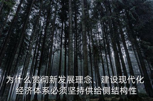 為什么貫徹新發(fā)展理念、建設(shè)現(xiàn)代化 經(jīng)濟體系必須堅持供給側(cè)結(jié)構(gòu)性
