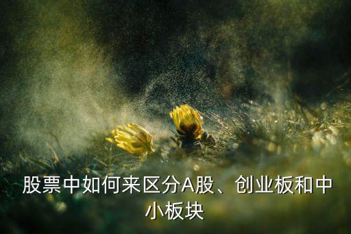  股票中如何來區(qū)分A股、創(chuàng)業(yè)板和中小板塊