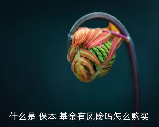 什么是 保本 基金有風險嗎怎么購買
