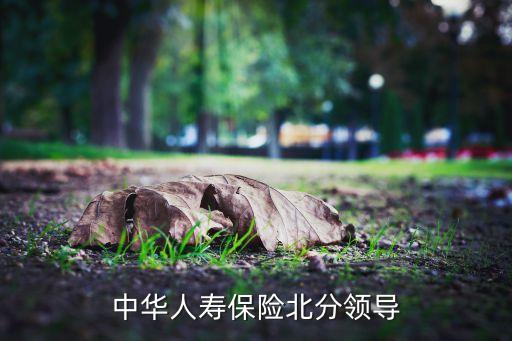 2016華夏銀行副行長(zhǎng),華夏銀行女副行長(zhǎng)名單