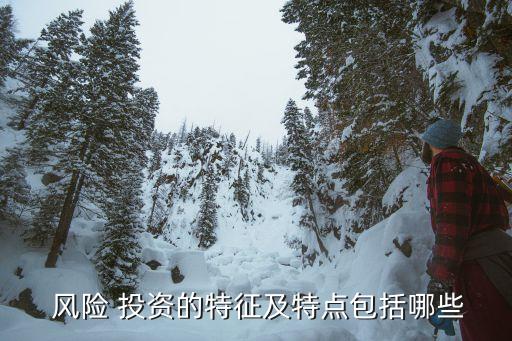 風(fēng)險 投資的特征及特點包括哪些
