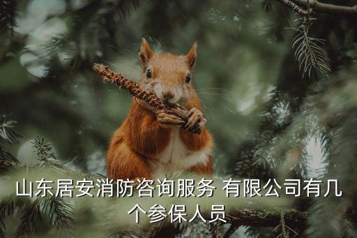山東居安消防咨詢(xún)服務(wù) 有限公司有幾個(gè)參保人員