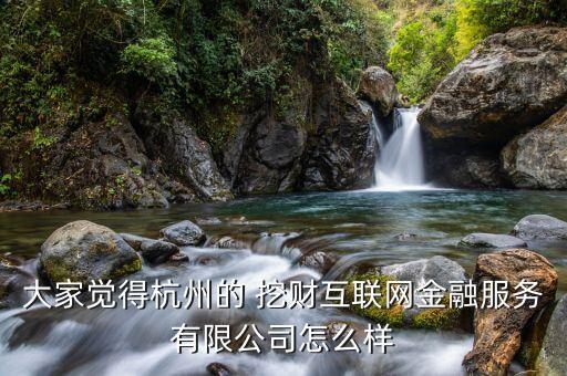 大家覺得杭州的 挖財互聯(lián)網金融服務有限公司怎么樣