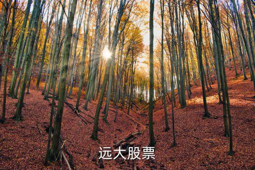 沈陽遠大股票