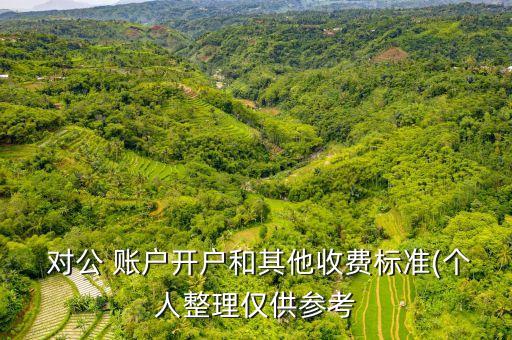  對公 賬戶開戶和其他收費標(biāo)準(zhǔn)(個人整理僅供參考