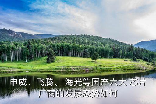 申威、飛騰、 海光等國產(chǎn)六大 芯片廠商的發(fā)展態(tài)勢如何