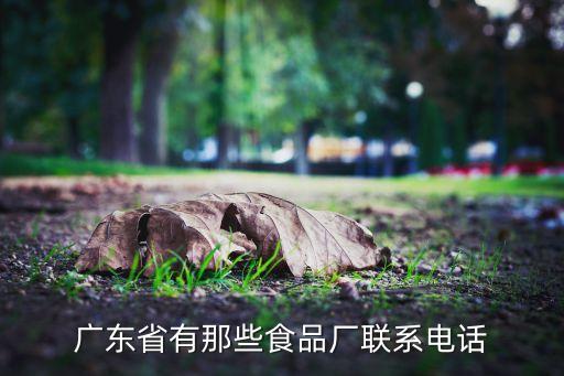 廣東省有那些食品廠聯系電話