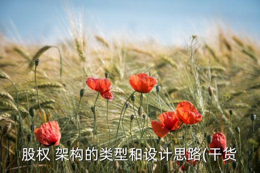 股權(quán) 架構(gòu)的類(lèi)型和設(shè)計(jì)思路(干貨
