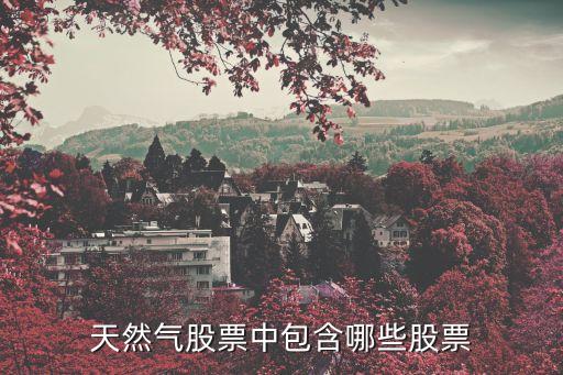 四川西充愛眾燃?xì)庥邢薰?陽(yáng)城縣森眾燃?xì)庥邢薰?/></a></span><span id=