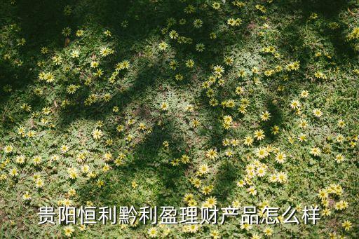 天津亞聯財小額貸款有限公司,上海亞聯財小額貸款公司正規(guī)嗎