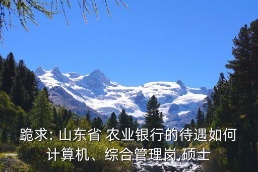 跪求: 山東省 農(nóng)業(yè)銀行的待遇如何計(jì)算機(jī)、綜合管理崗,碩士