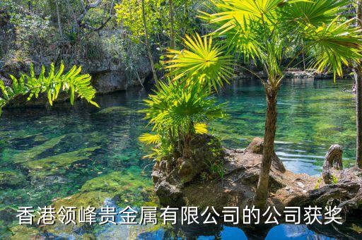 香港領(lǐng)峰貴金屬有限公司的公司獲獎
